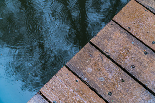 踏春赏花拍美景,踏春赏花逛湖