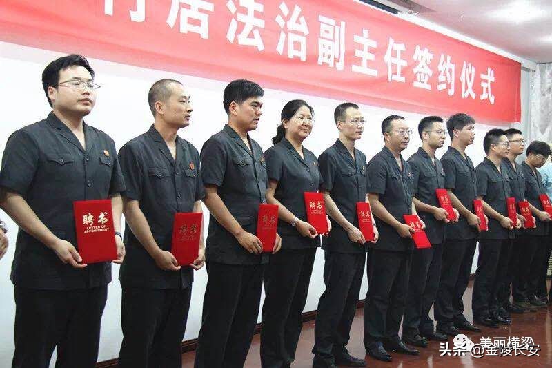 6合道哪套最强,合六一体化路线