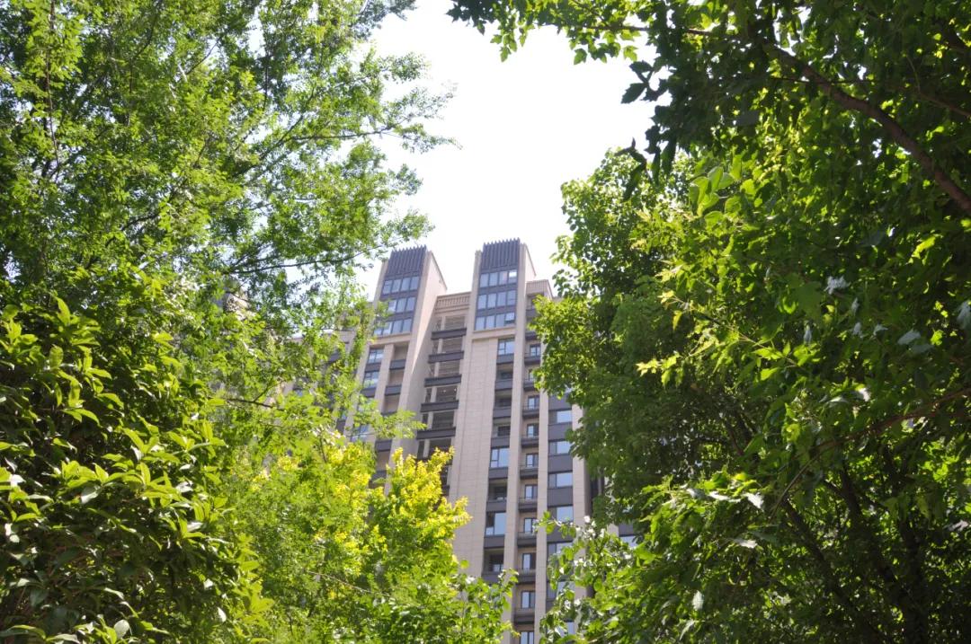 开封永威楼盘,永威哪个楼盘值得期待