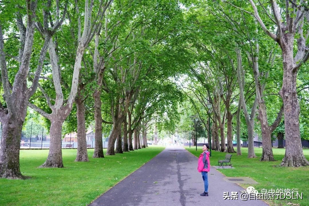 土澳,土澳新闻视频