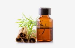 名门泽佳的产品能用吗,名门泽佳真的有效吗