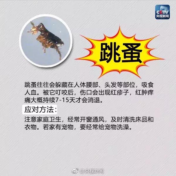 南宁邕江红火蚁,被广西红火蚁咬了怎么办
