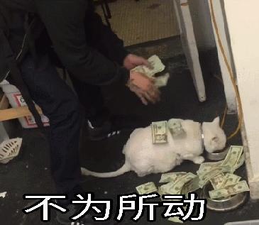 公关的101个误区,公关切忌重术轻道