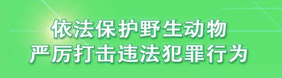 天津2022哪些公园恢复开放,天津2022年四月开放的公园