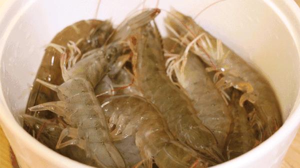 厦门90海里蒸汽海鲜自助,厦门岛内蒸汽海鲜自助