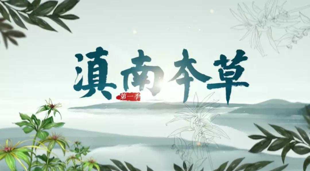 人有些啥病,民间神奇彝医真实故事