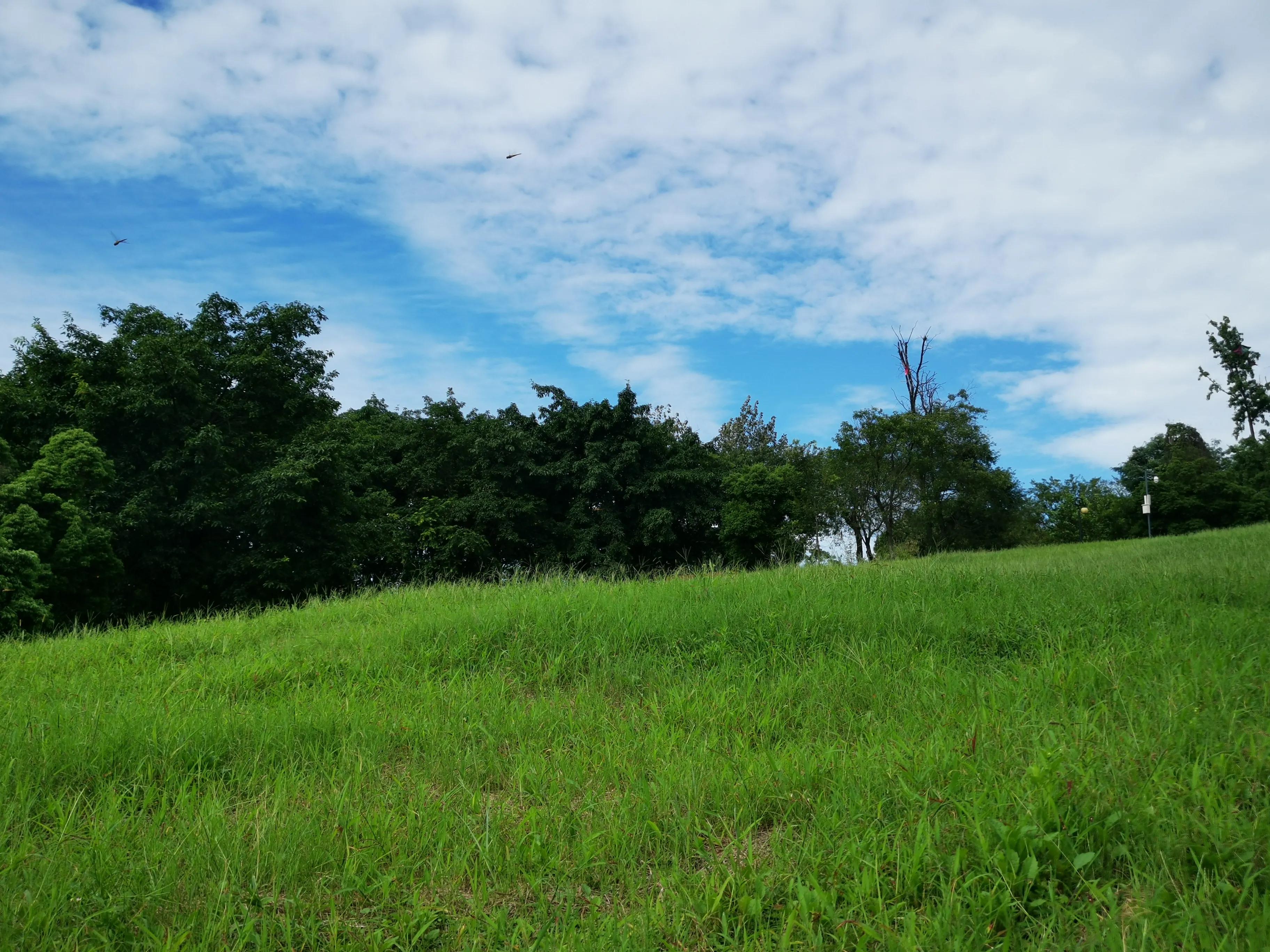 老成都的回忆完整版,老成都的记忆电烤肉串