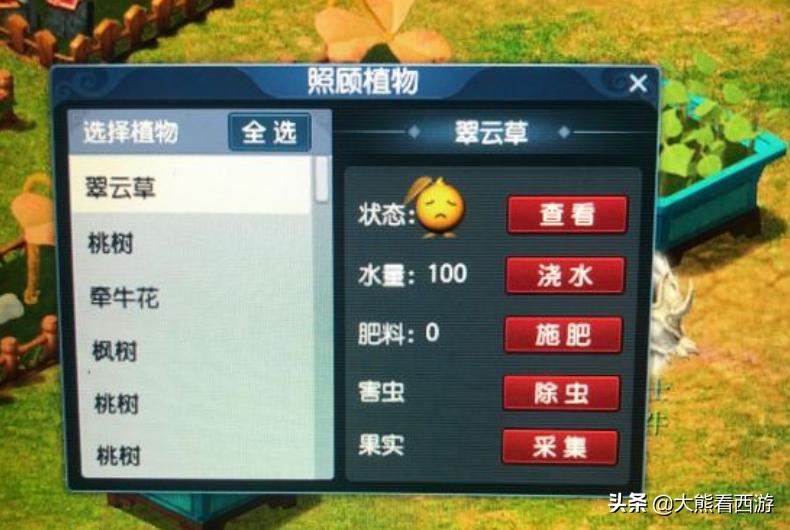 梦幻西游：杀破狼也可以用伞了？梦幻精灵的“BUG”也太多了吧
