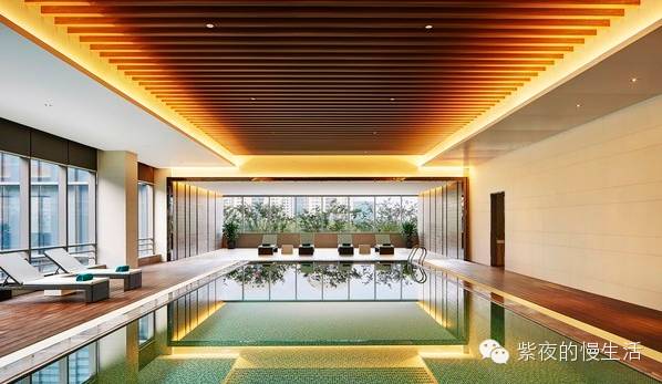 苏州带宠物去的古镇,苏州小众宠物乐园推荐