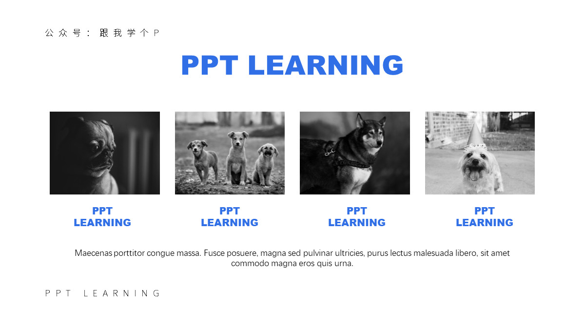 手把手教你高逼格的ppt,10分钟制作一个高质量的ppt