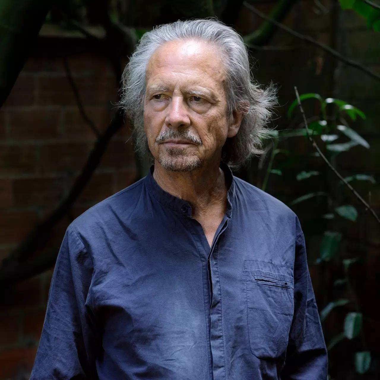 诺奖得主作家汉德克,2019诺奖得主作家汉德克