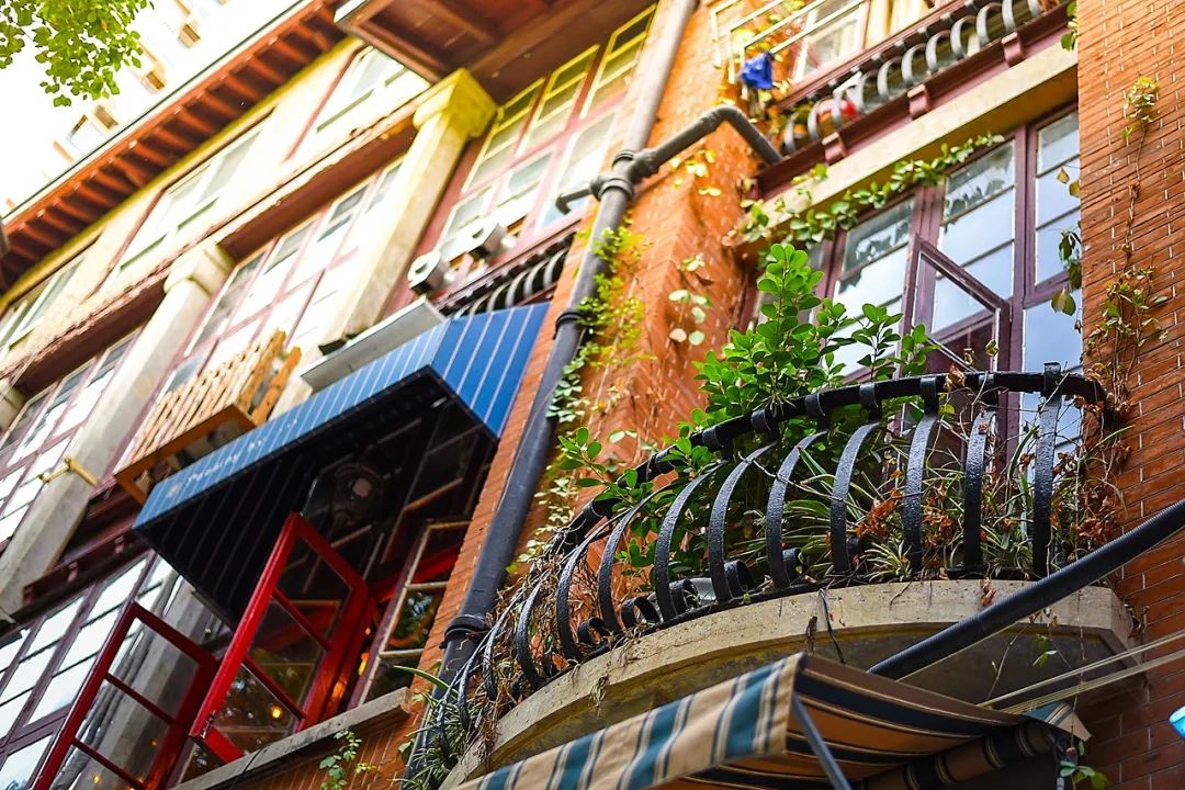 武汉11月打卡景点和网红地,武汉50个值得打卡的地方