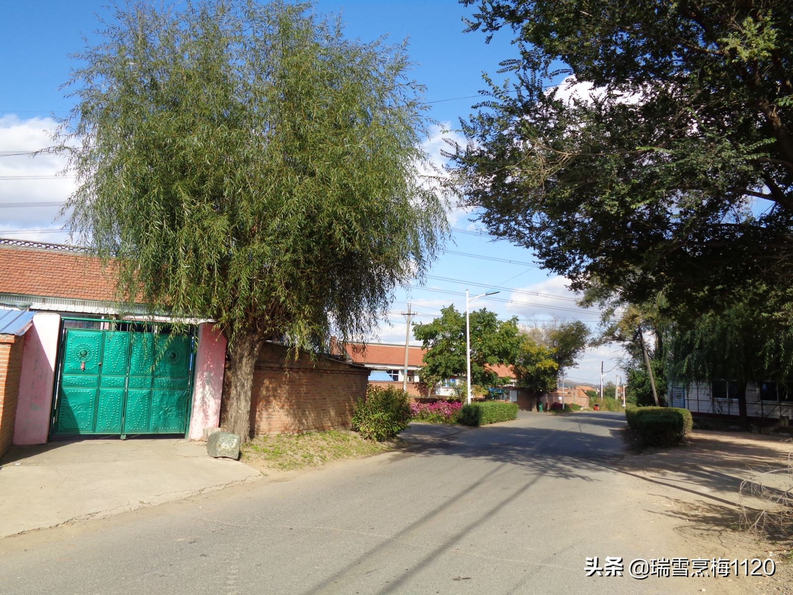 沈北新区依路村,沈北新区马刚乡地图