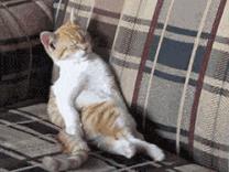 别再趴着睡觉了!22岁小伙一觉醒来“手残”了!医生:最好的睡姿是它