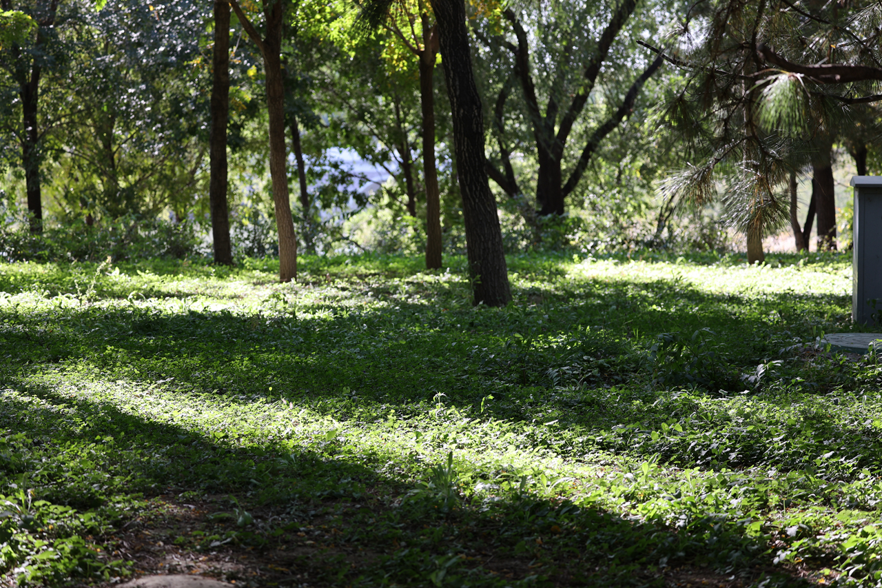 佳能rf100-500mm参数,佳能rf-s18-45mm测评