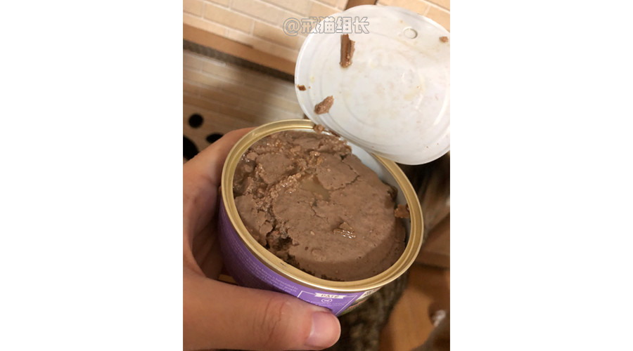 猫吃主食罐头好还是猫粮好,猫零食罐头和主食罐头的区别