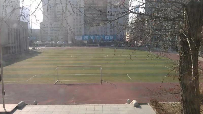 大连市第十三高级中学,大连市第八中学在辽宁省排名