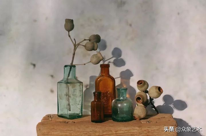 干花布置省钱,什么花适合做干花