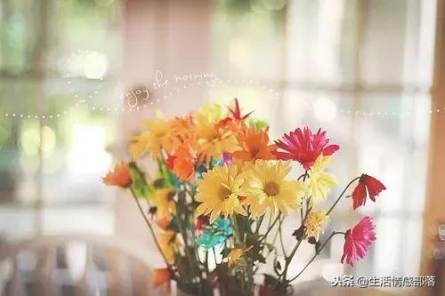 适合个性签名的简短句子,适合做个性签名的句子独特有风格