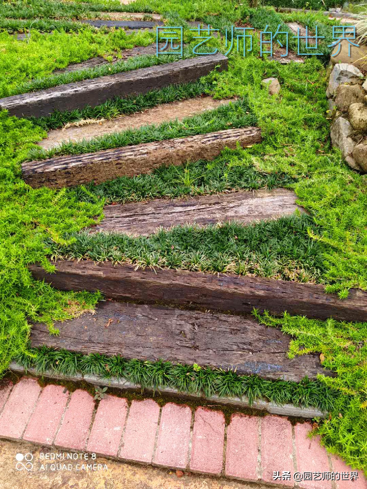 花园科学实验,花园案例及解析