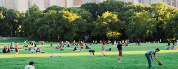 后浪威力有多强大,后浪板块