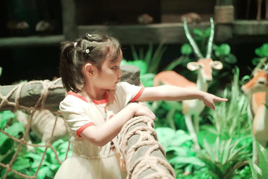 占地30000㎡！这艘建在安华汇天台上的巨船，竟是亲子乐园