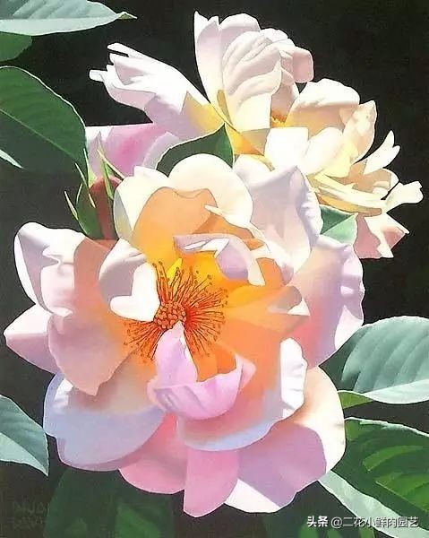 100种花卉绘画,100多张花卉线描手稿素材赶快收藏