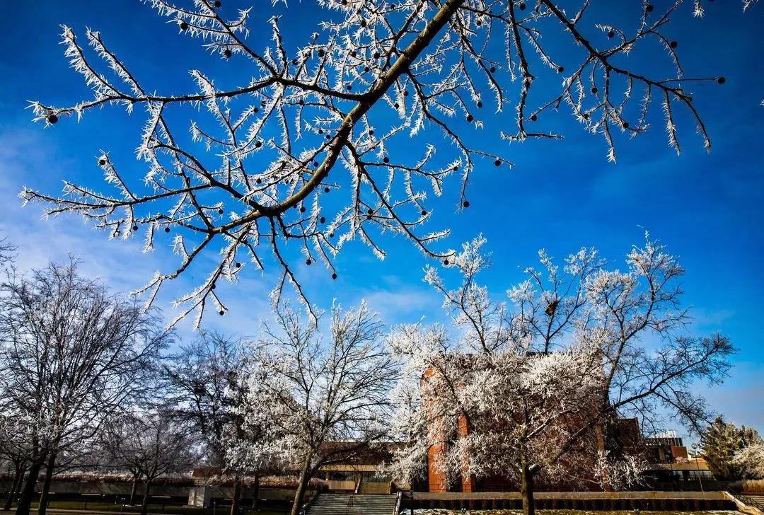 综排不高，但专业牛！中国学生最爱的玉米地神校，不该被低估
