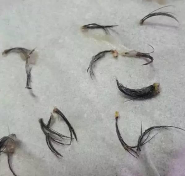 薇娅睫毛膏防水纤长卷翘加密加长,薇娅2019业绩