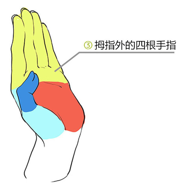 怎么画漫画人物教程简单又好看,漫画手的各种姿势画法