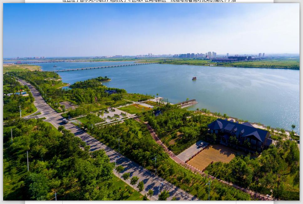 南海新区具有什么特点,南海新区详细介绍