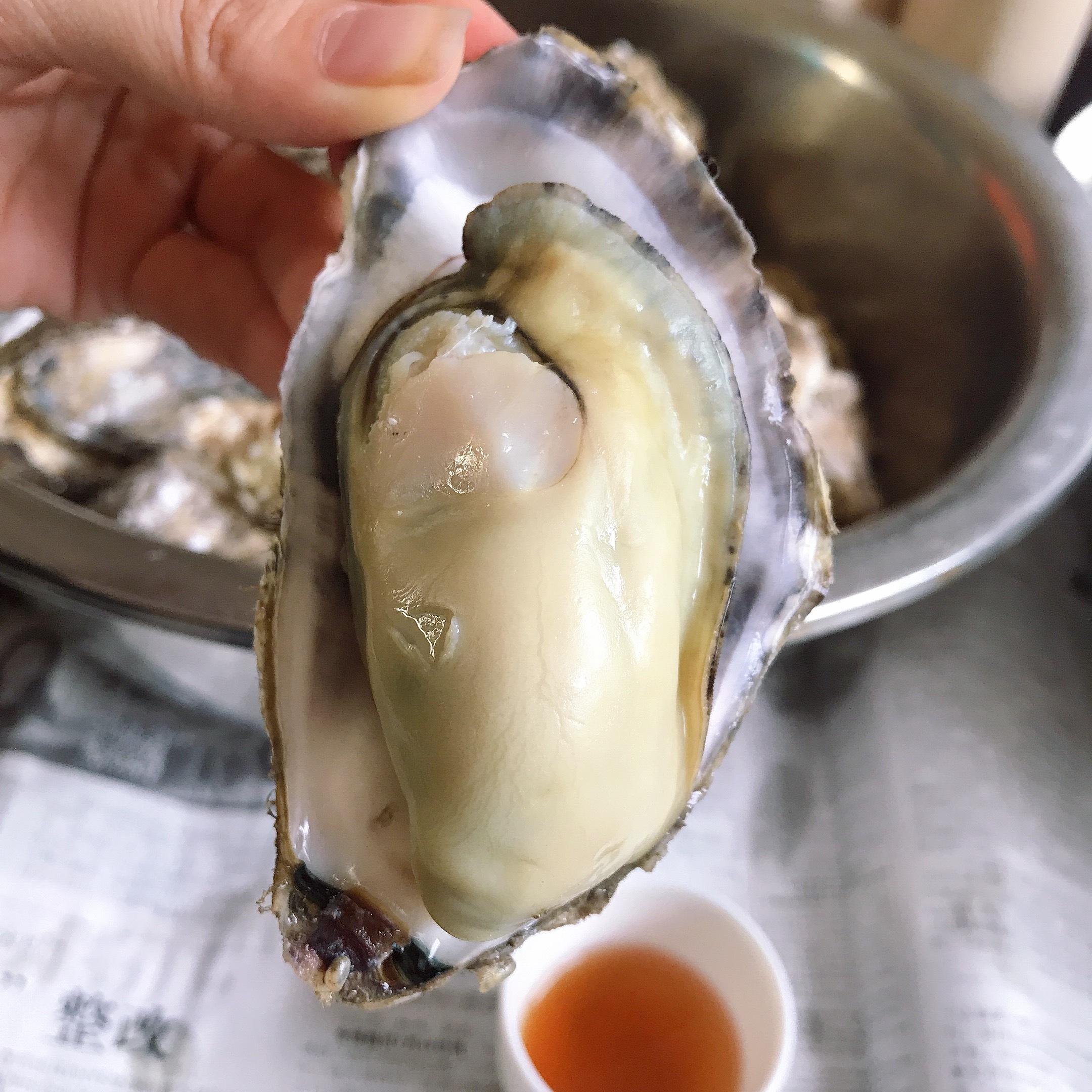 一入豪门深似海下一句是什么,一入蚝门深似海从此虾蟹是路人