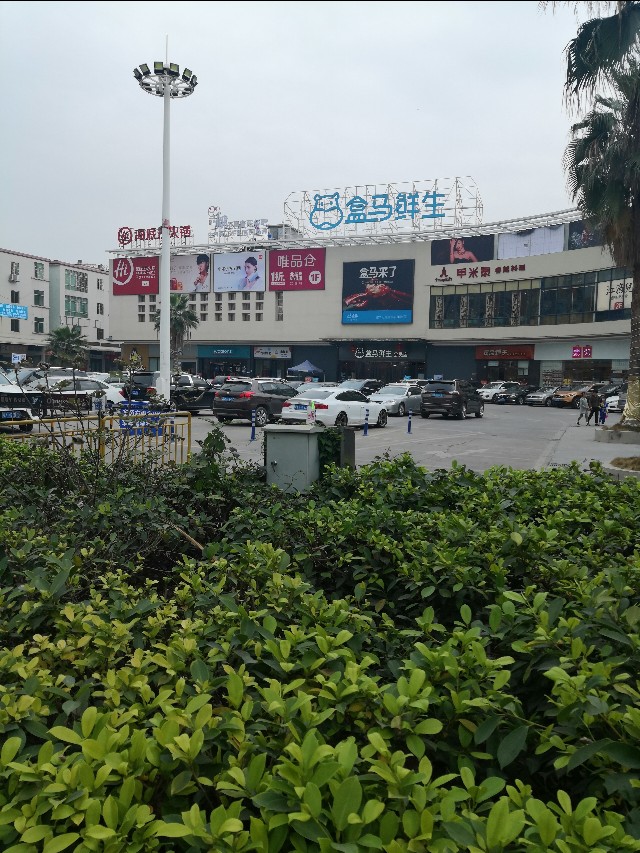 最新广州番禺大石地铁附近楼盘租房卖房价格，看完这个你就知道啦