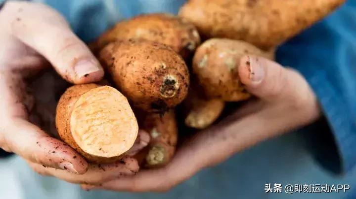 地瓜怎么吃才减肥效果好,地瓜热量高为什么能减肥