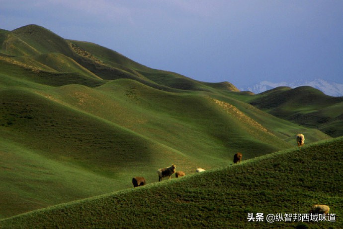 *疆新**建设兵团，军垦产品为什么受大众青睐？
