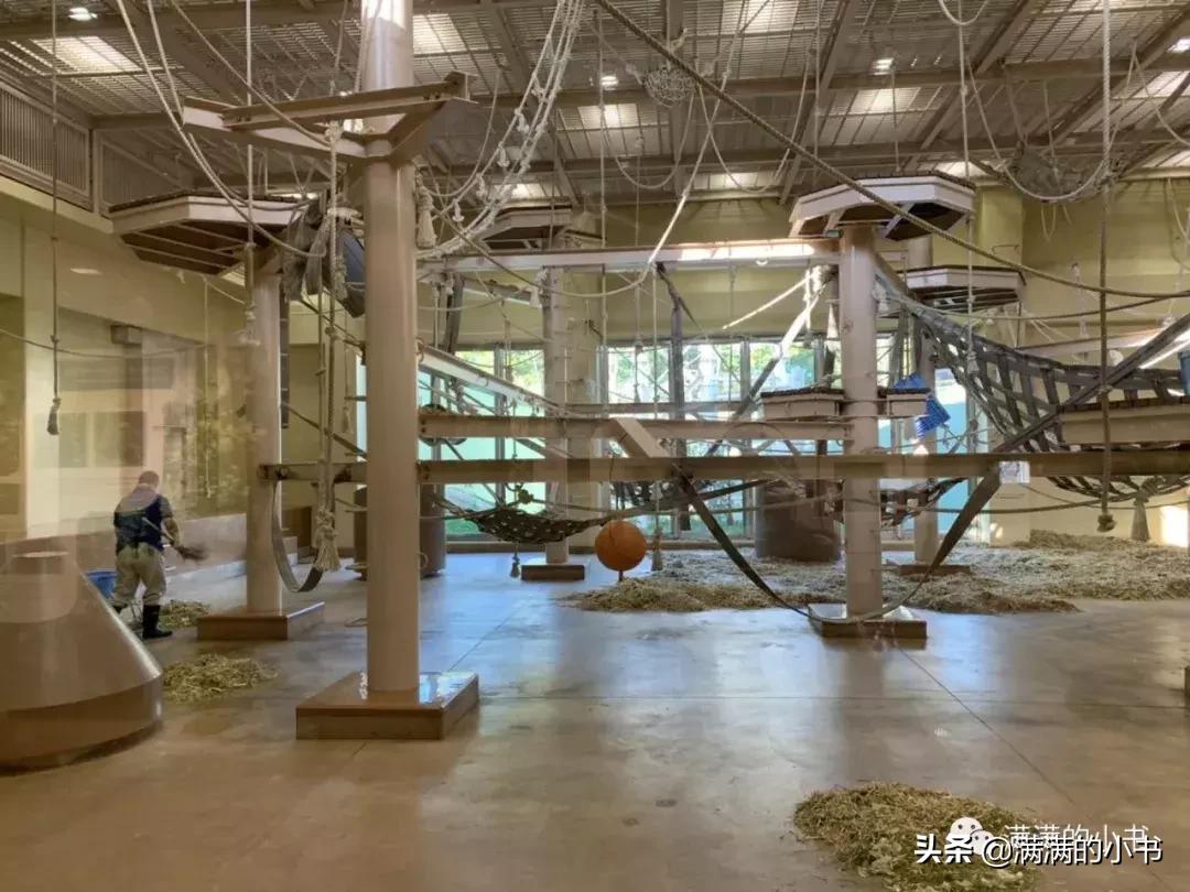 七天日本之旅,名古屋七日游自由行