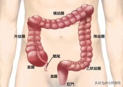 做肠镜感觉很尴尬,做肠镜说肠道脏是为什么