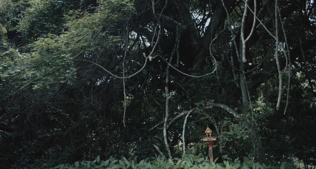 期望越大失望越大还能期望吗,期望越大失望越大也就心凉了