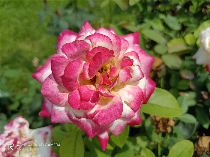 realme真我v5是5g手机吗,realme真我v5是不是全面屏