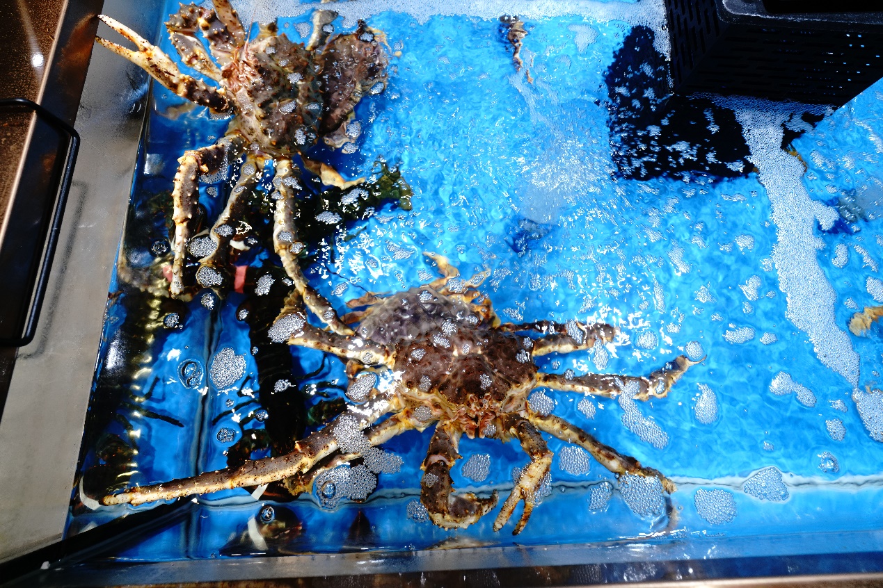 天津七鲜超市哪家好,天津七鲜超市有几家