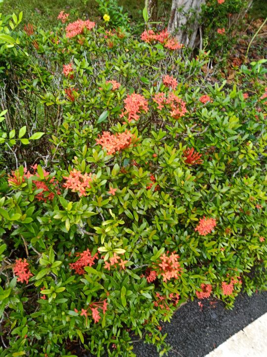 万宁海边的深海,万宁夜晚的海边