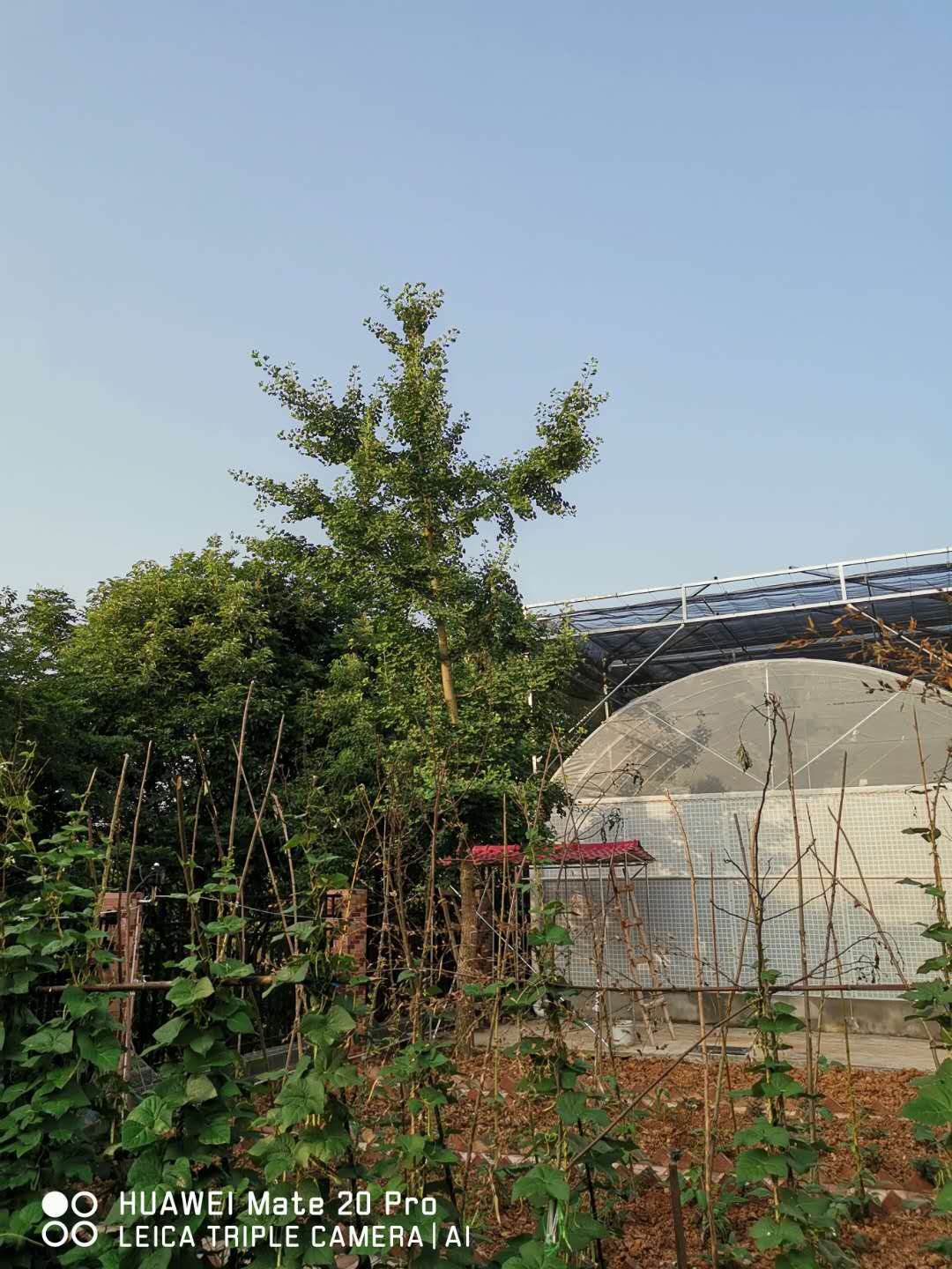 有惊无险的一天的记录,一次有惊无险的经历朋友圈