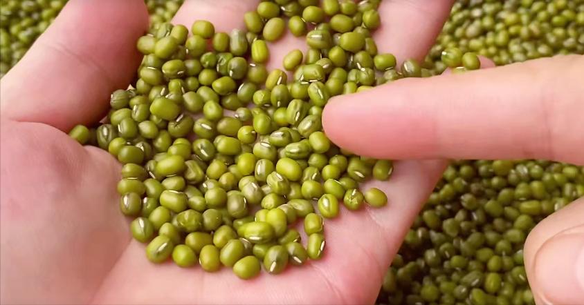 煮绿豆沙为什么要放姜片,怎么煮绿豆沙能快速软烂