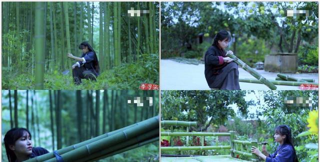 李子柒乡村振兴大使,李子柒乡村文化振兴