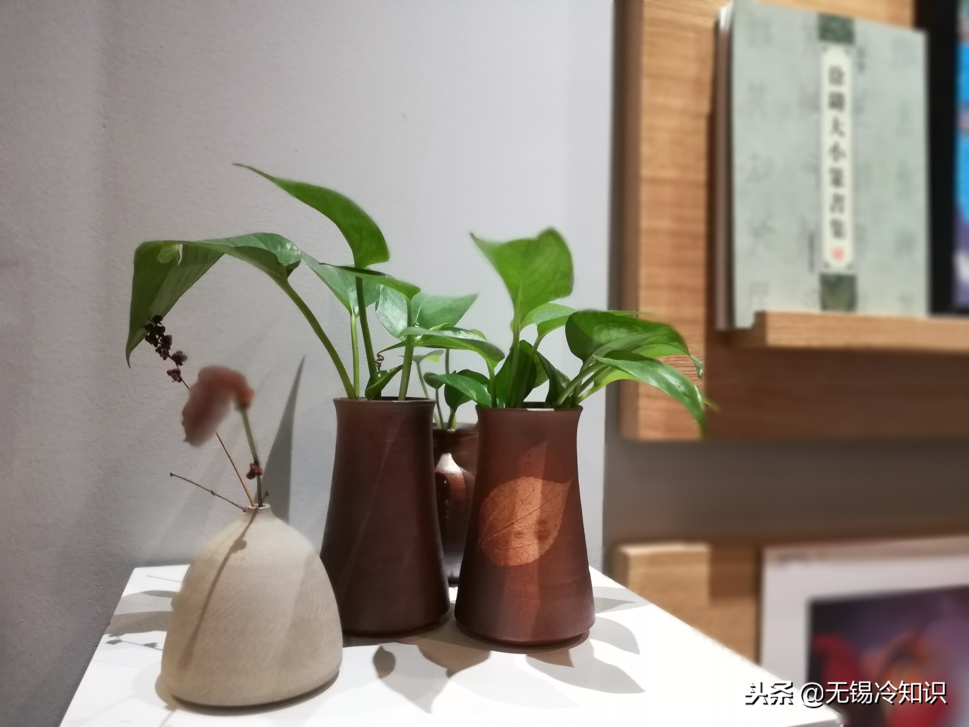 无锡最美书店,无锡创意书店