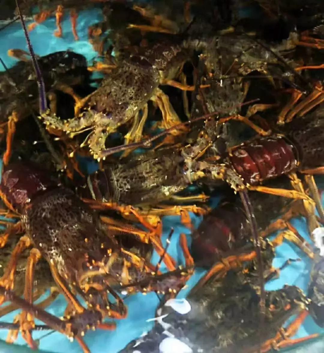 她17岁逃婚出深山，如今在无锡，开了南长街上最大的酒楼