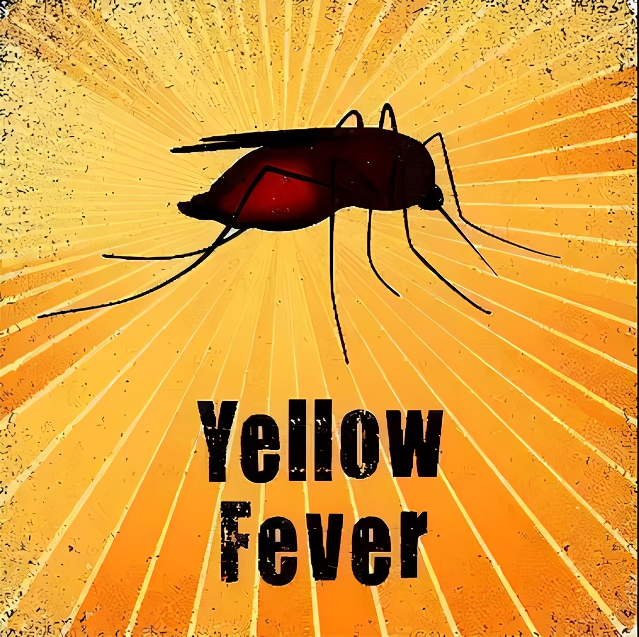 喝细菌汤，涂病人呕吐物，科学家靠“自虐”获得搞笑诺贝尔奖