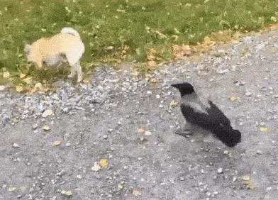 一个世界演唱会,2022年扬帆远航音乐会嘉宾名单