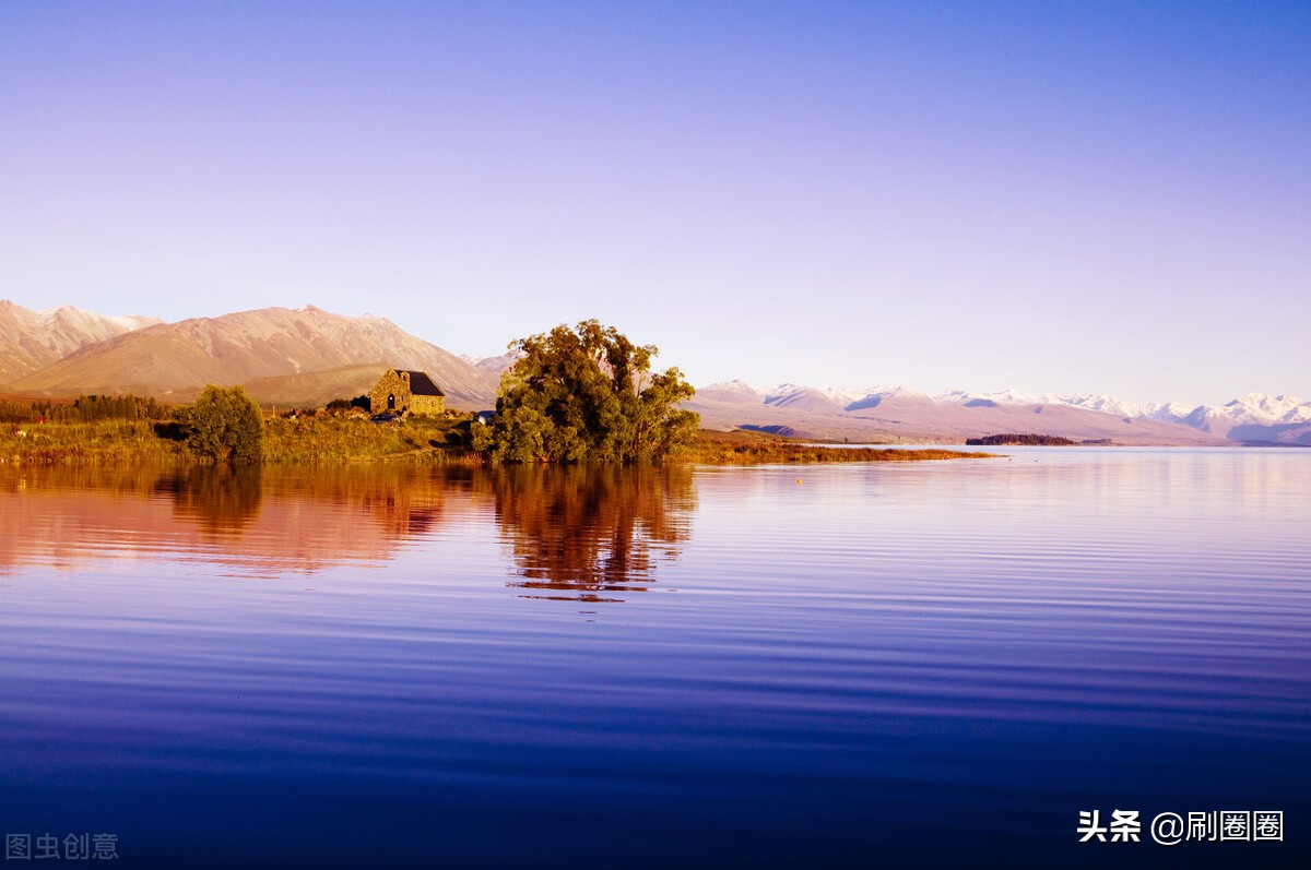 六年级作文一单元变形记范文,六上第一单元作文变形记优秀范文