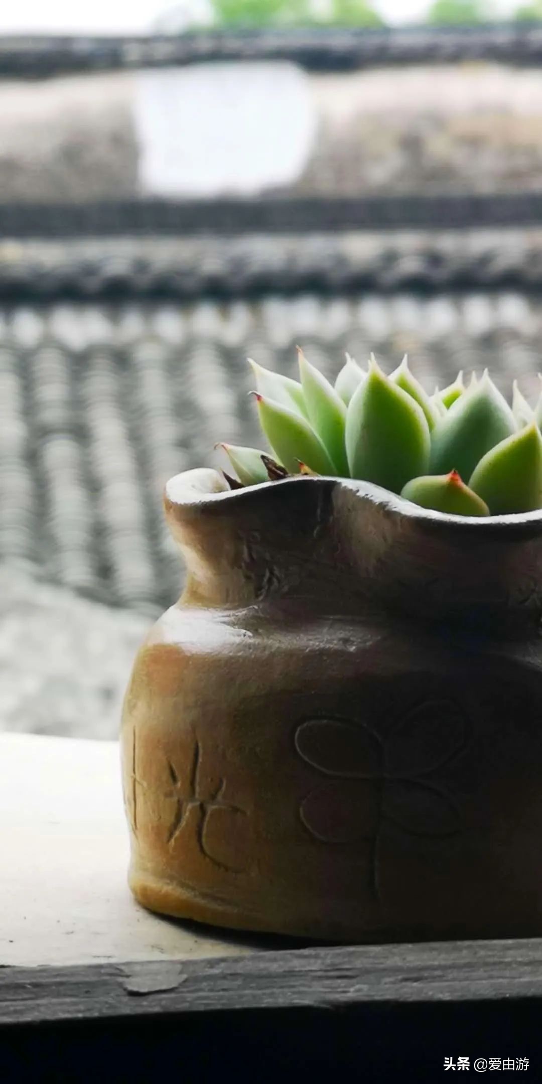 疫情后旅行新玩法,“州”游之衢州四天三夜